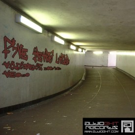 (AE060)V.A. – Five Years Later