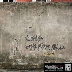 (AE071)Doeme – The First Wall